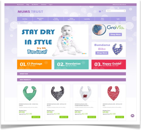 Ready Steady Web Design